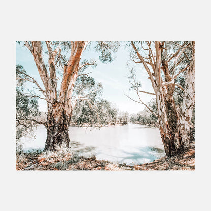 Murray Banks