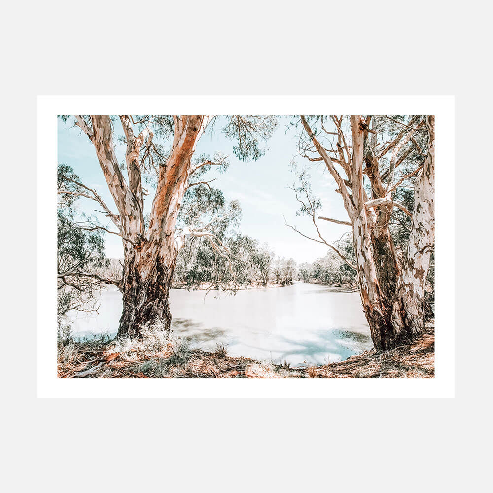 A photographic posters print featuring trees along the banks of the Murray river.