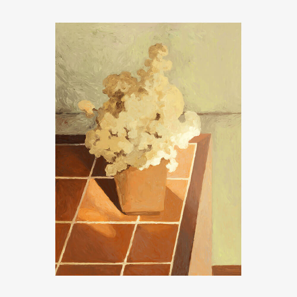 Mustard Pot Plant