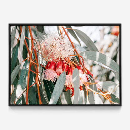 Native Blooms