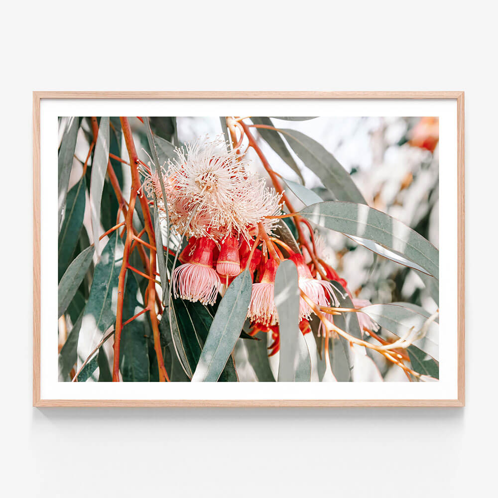 Native Blooms