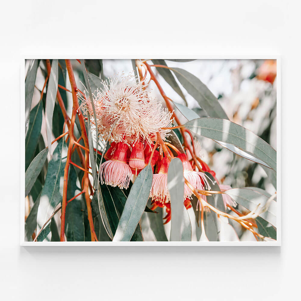 Native Blooms