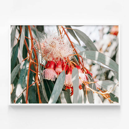 Native Blooms
