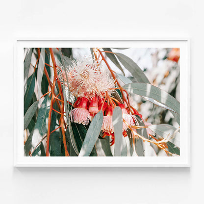 Native Blooms