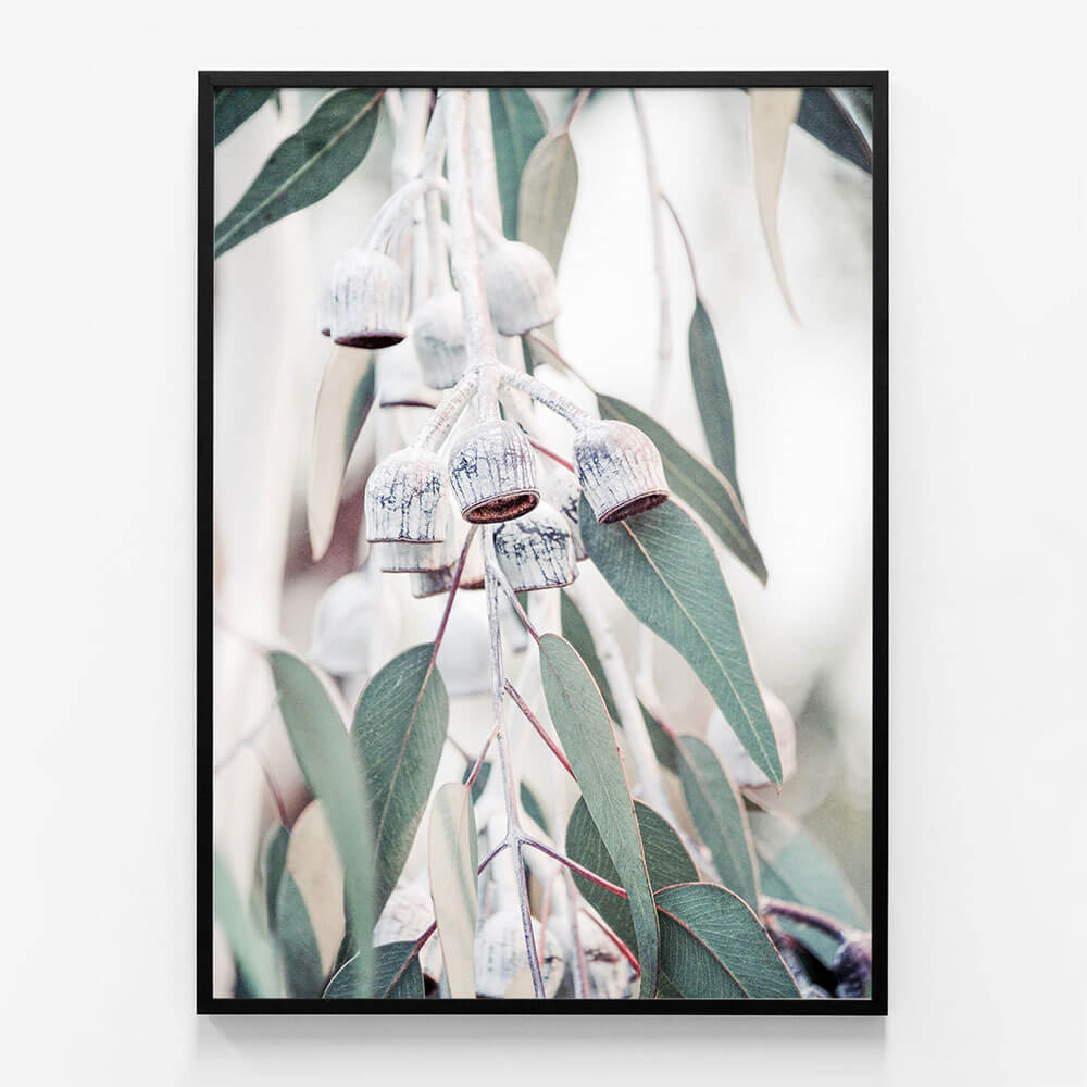 Native Flora