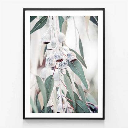 Native Flora