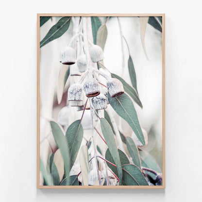 Native Flora