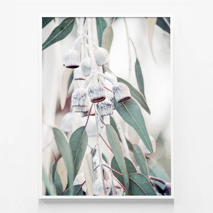 Native Flora