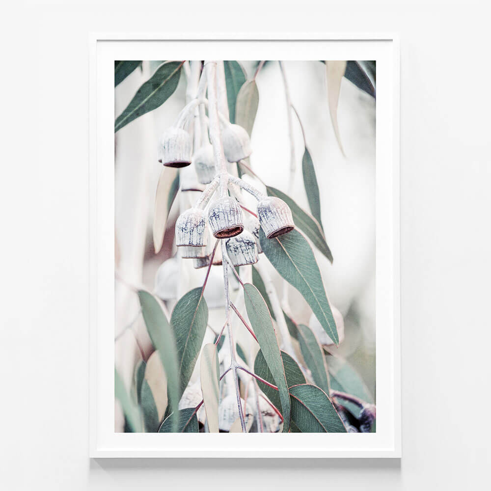 Native Flora