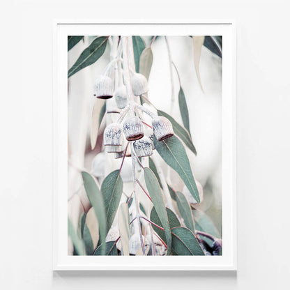 Native Flora