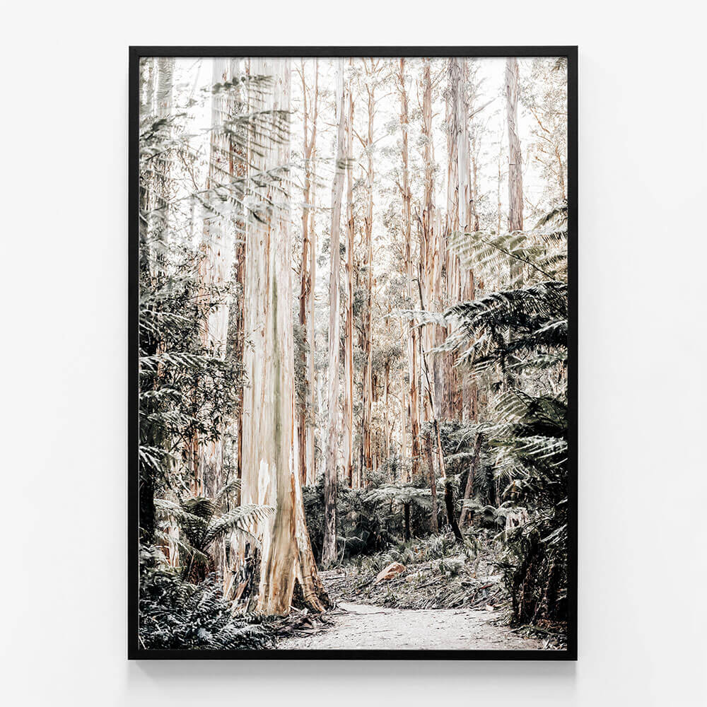 Native Forest