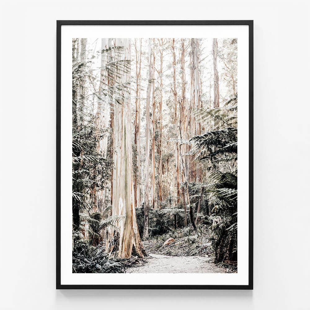 Native Forest