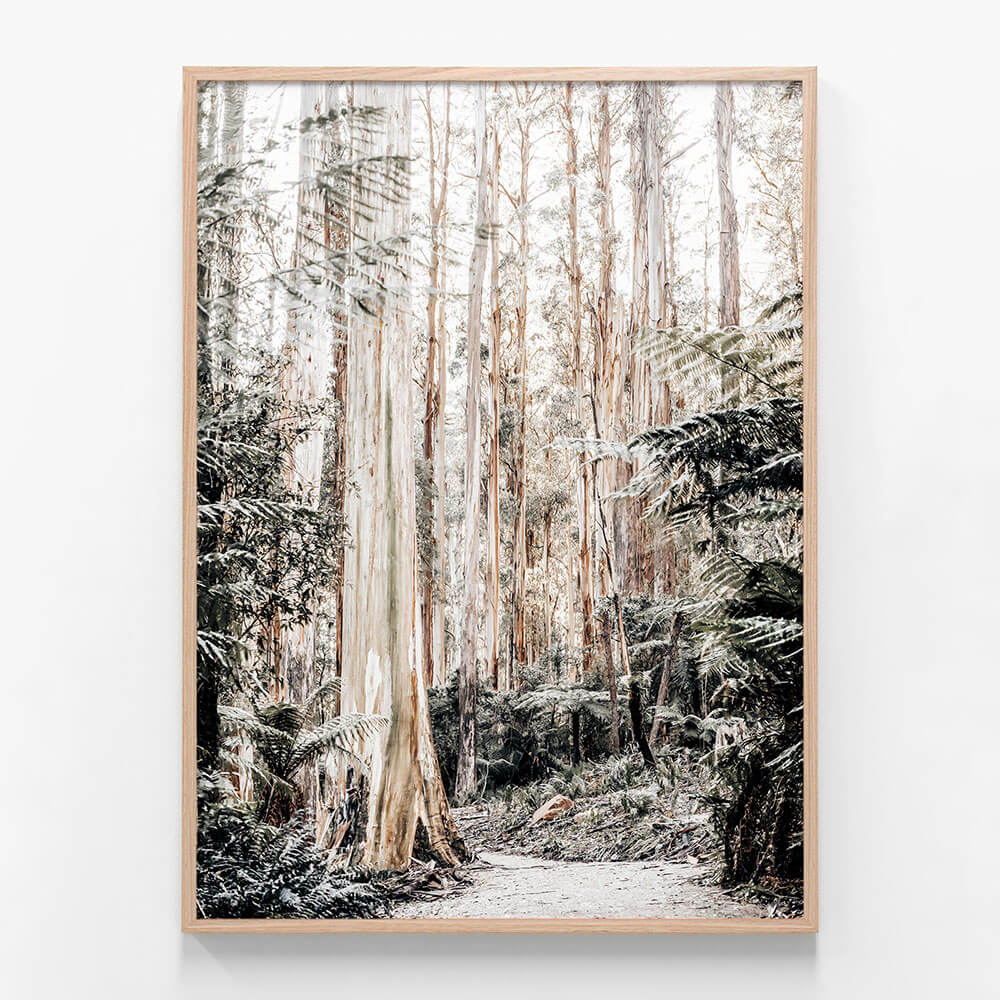 Native Forest