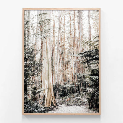 Native Forest