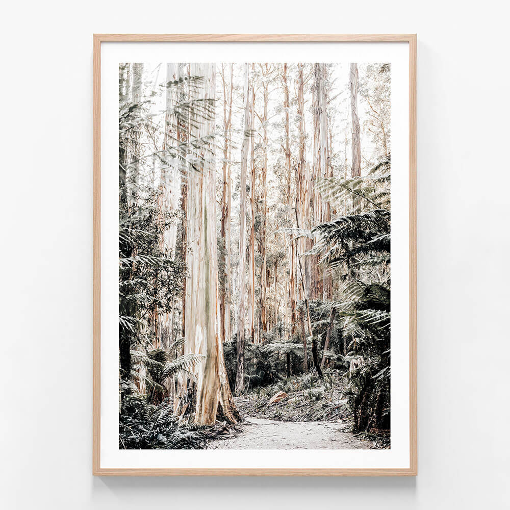 Native Forest wall art print in oak frame