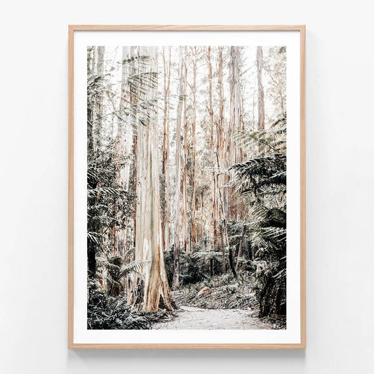 Native Forest wall art print in oak frame