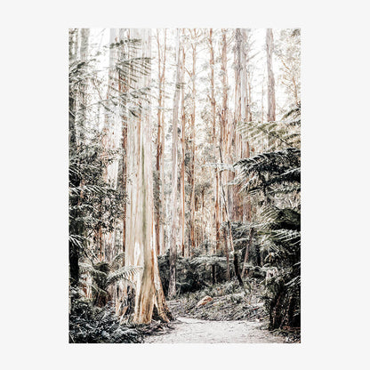 Native Forest
