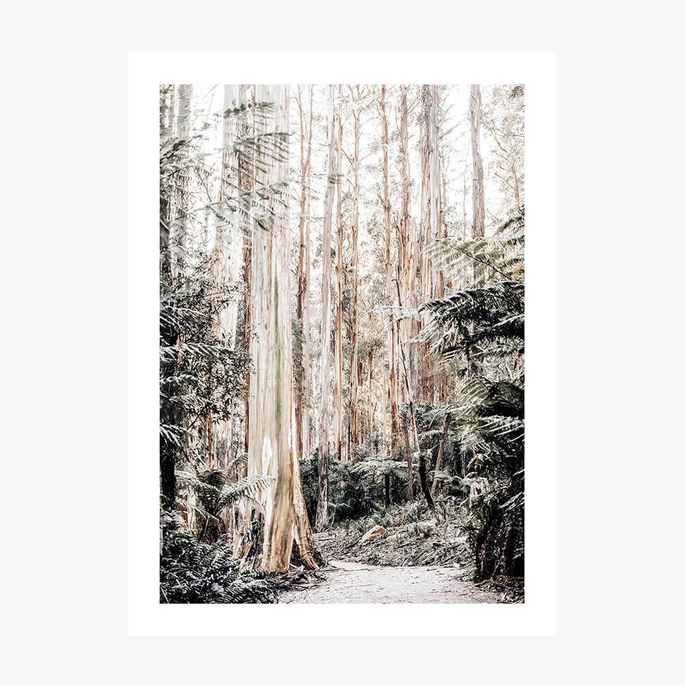 Native Forest wall art print