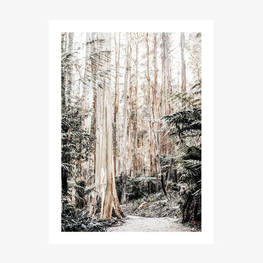 Native Forest wall art print