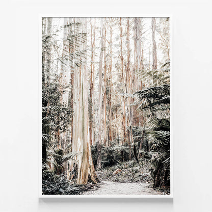 Native Forest