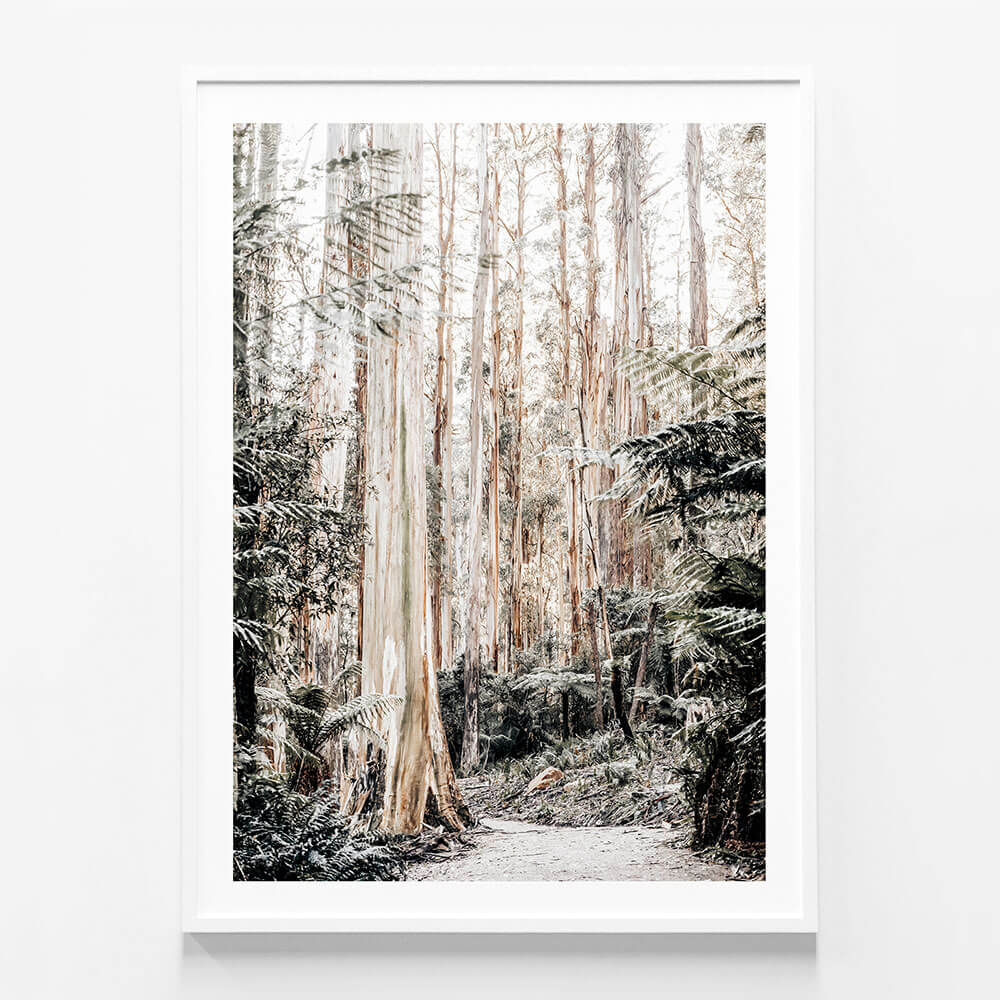 Native Forest