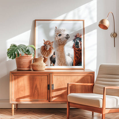 No-Drama-Llama-Wall-Art.jpg