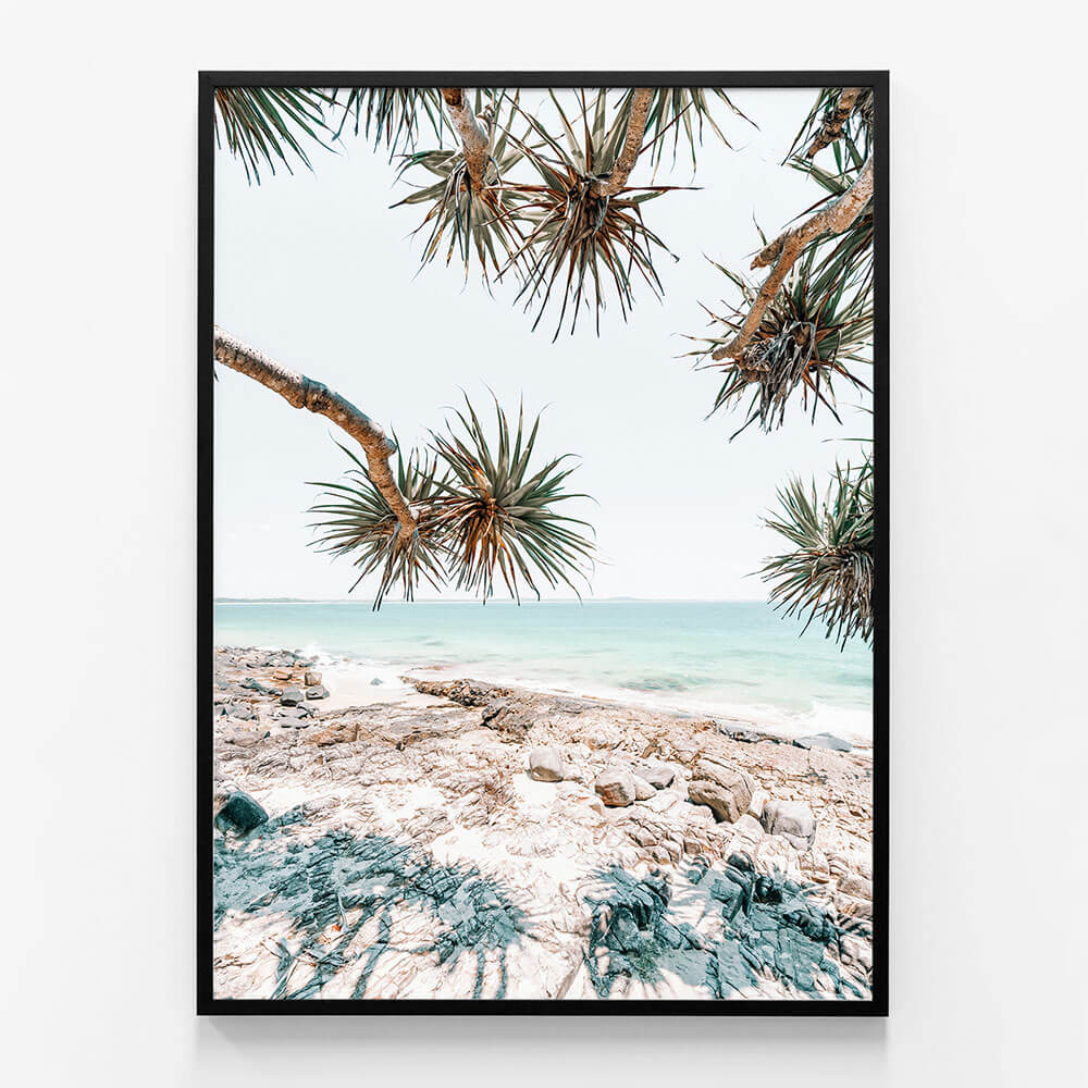 Noosa Palms