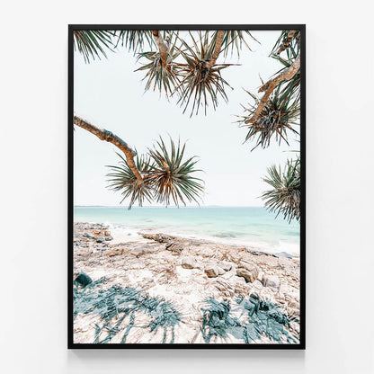 Noosa Palms