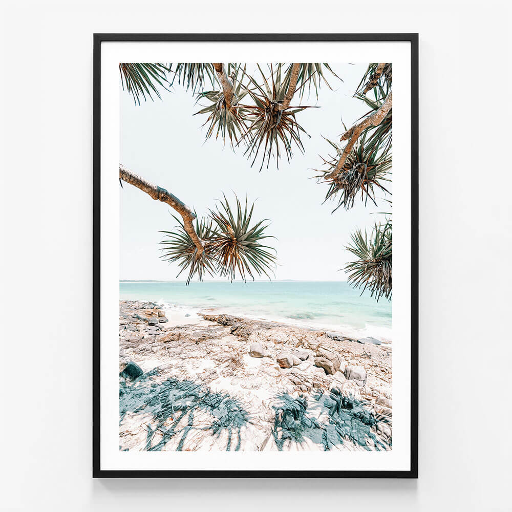 Noosa Palms