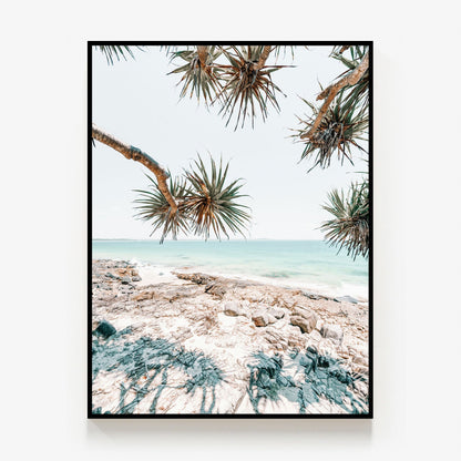 Noosa Palms Canvas