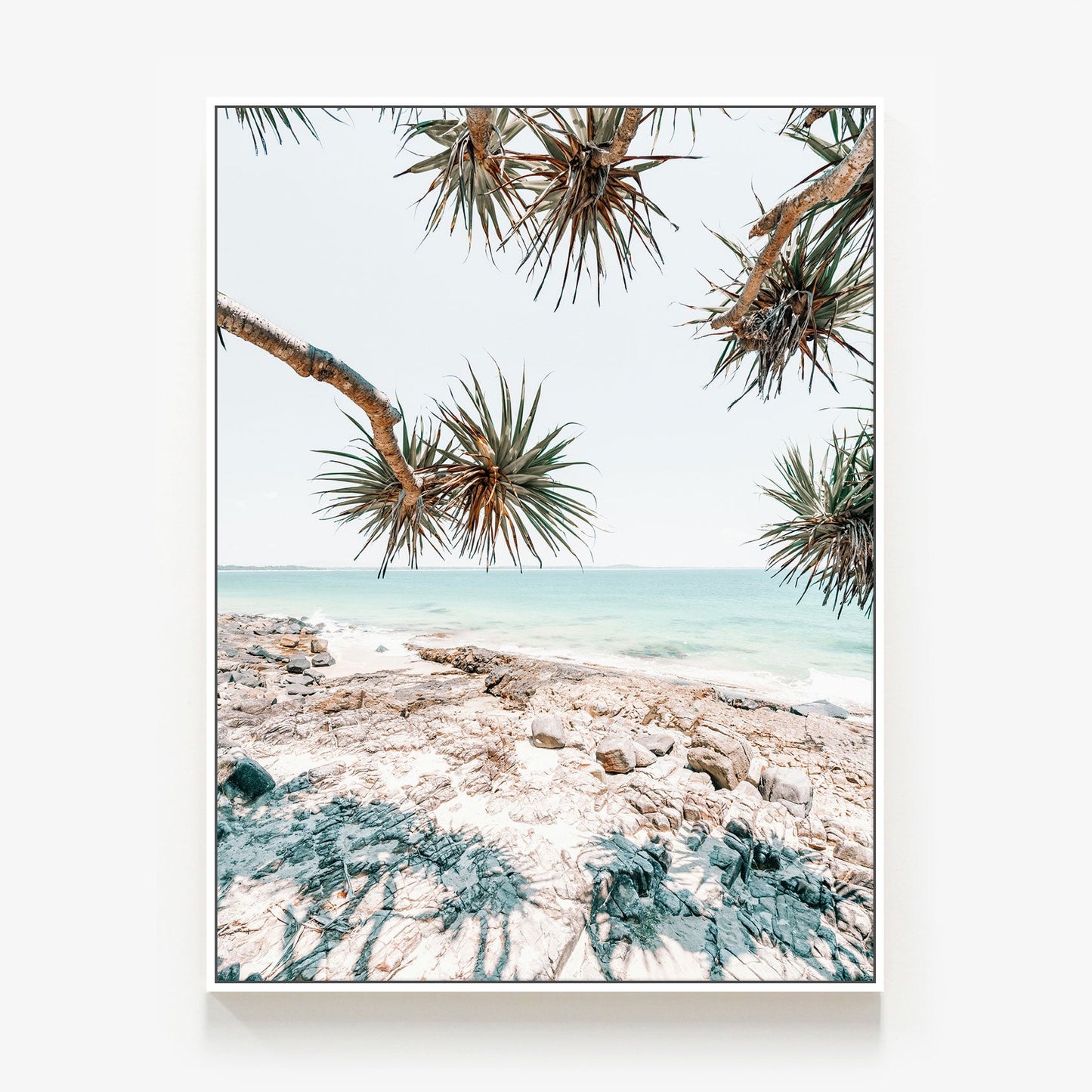 Noosa Palms Canvas