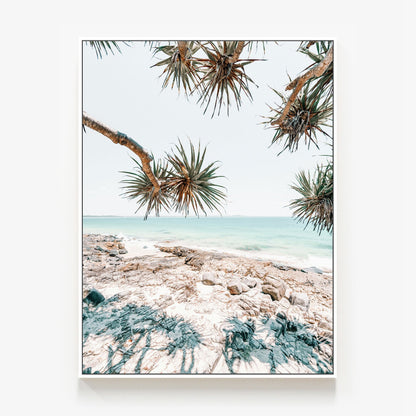 Noosa Palms Canvas