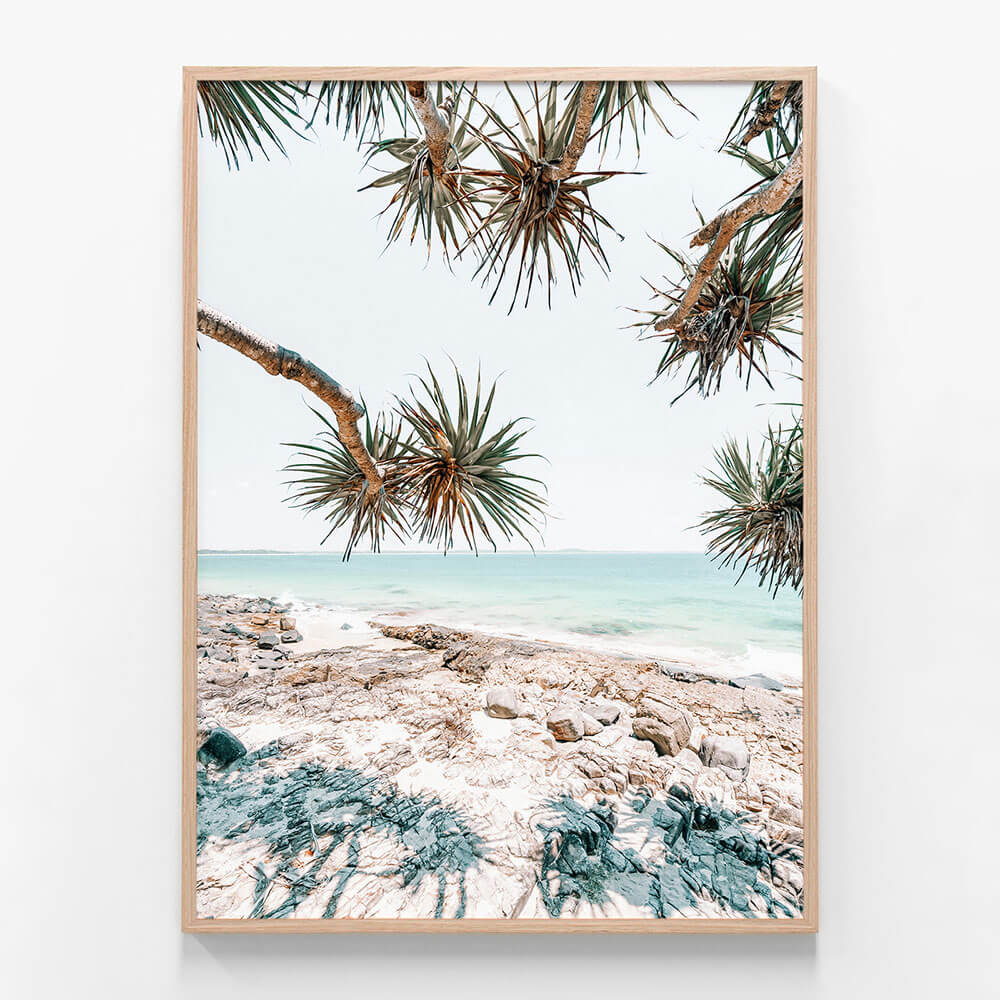 Noosa Palms