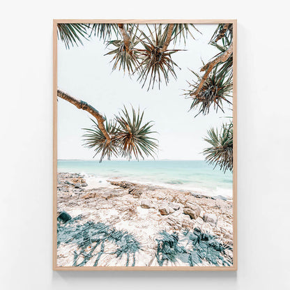 Noosa Palms