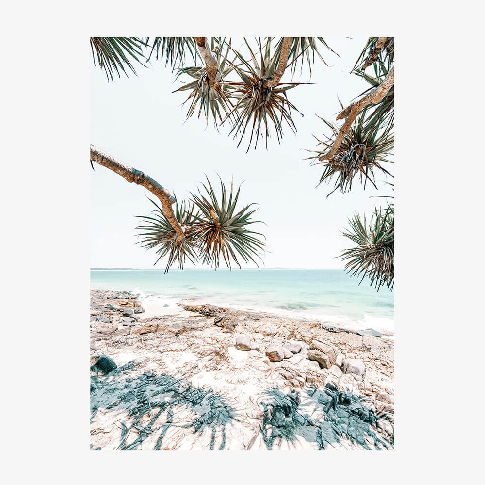 Noosa Palms