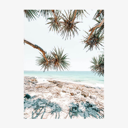 Noosa Palms