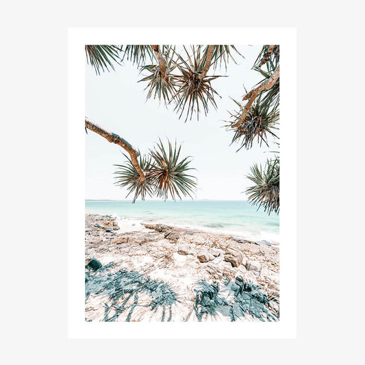 Art print depicting pandanus palms trees o n the beach at Noosa with a beach and ocean in the background, predominantly in beige and blue tones.