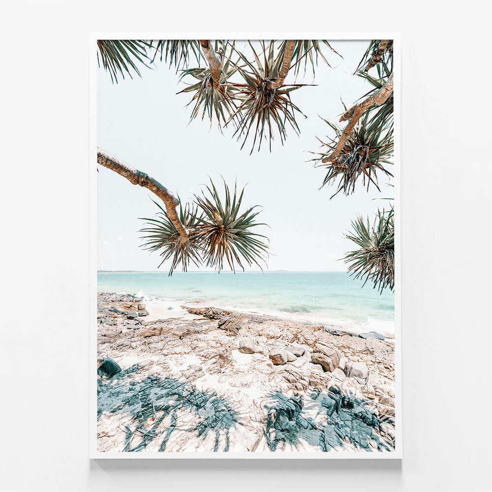 Noosa Palms
