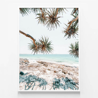 Noosa Palms