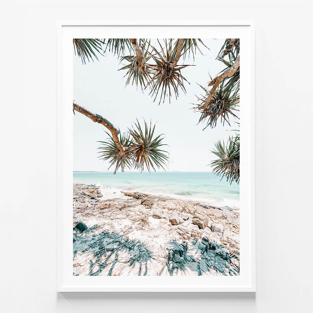 Noosa Palms