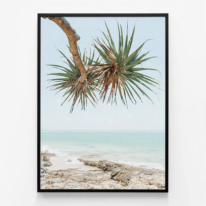 Noosa Pandanus
