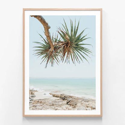 Noosa Pandanus wall art print in oak frame