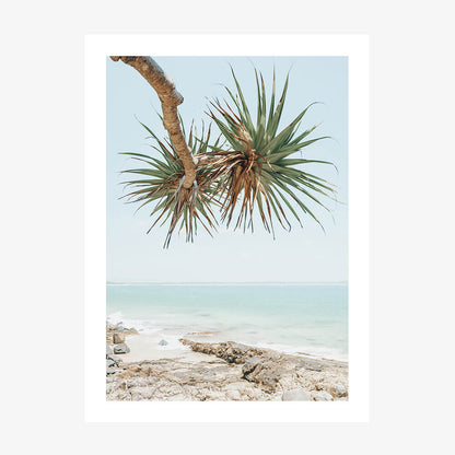 Noosa Pandanus wall art print