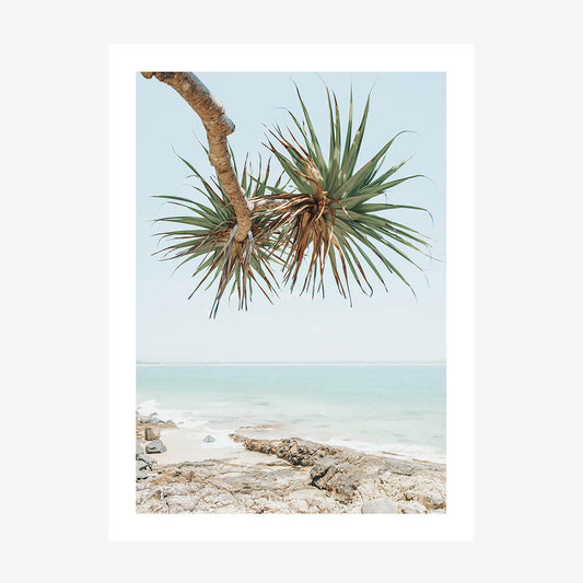 Noosa Pandanus wall art print