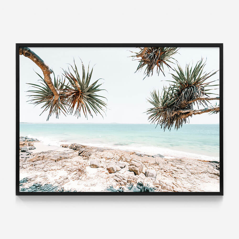 Noosa Rocks