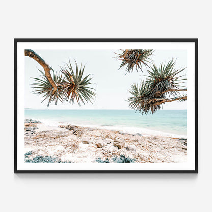 Noosa Rocks