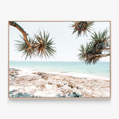 Palm trees on the beach Noosa Rocks Australian coastal canvas wall art print with oak float frame