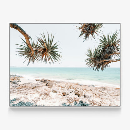 Noosa Rocks Canvas