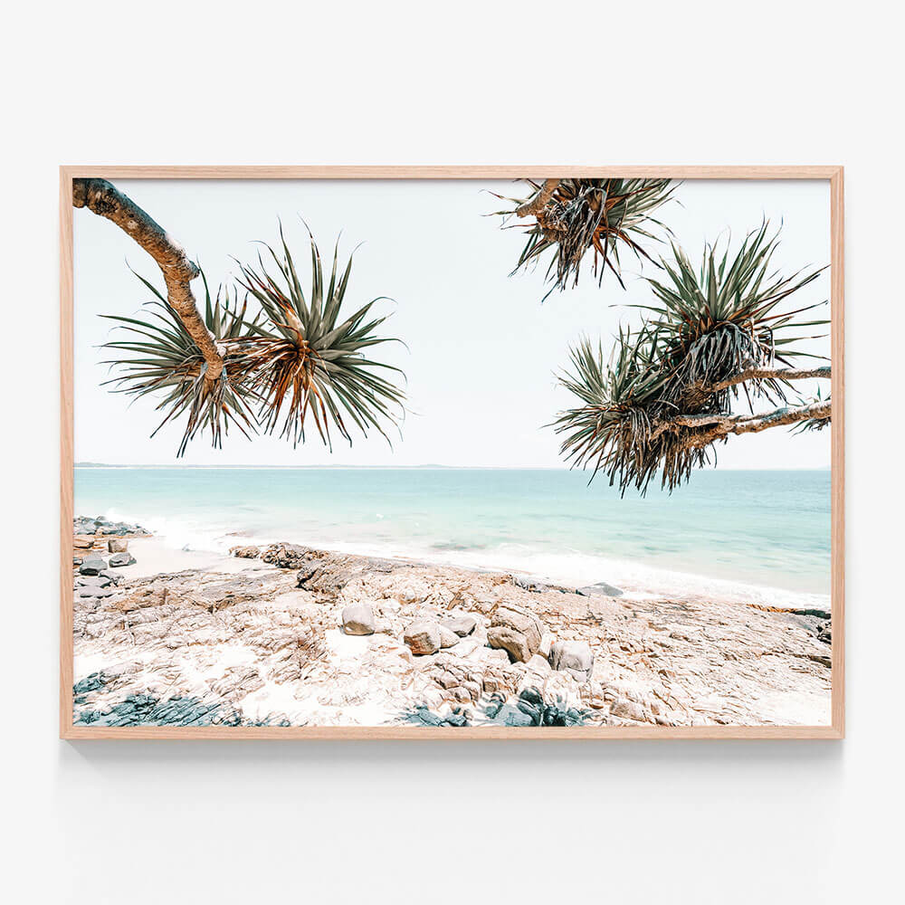 Noosa Rocks
