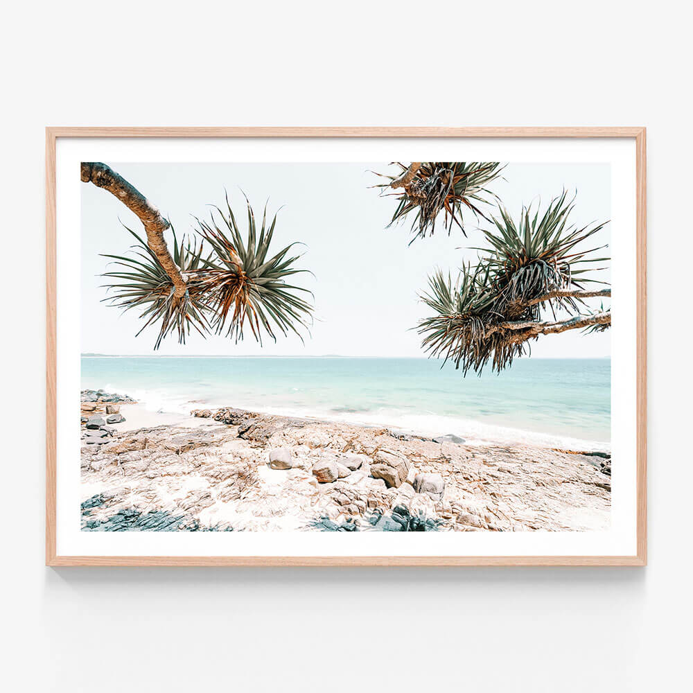 A photographic framed art print of a beach scene with rocks and palm trees in the foreground, taken in Noosa Australia